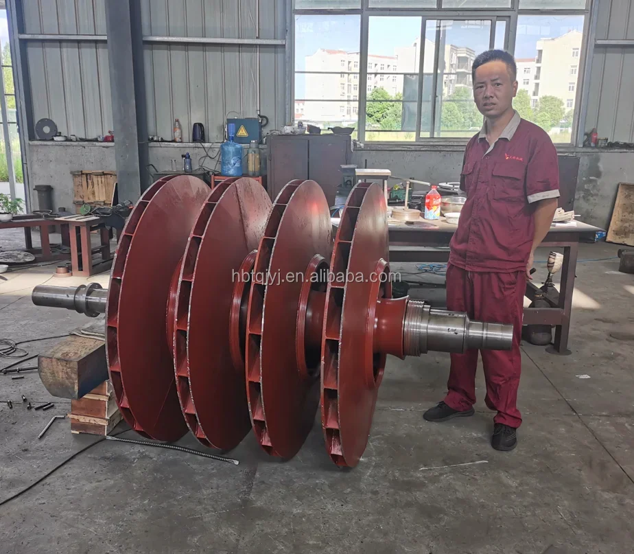 Gas Chemical Fan, D460-1.45/Blower, Electric, Cast Iron - detail 34