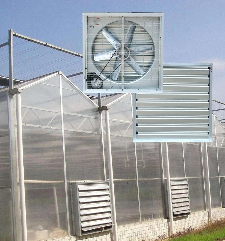 Mx-e600 Explosionproof Axial Blower, 5700m³/h, Explosion-Proof - detail 52