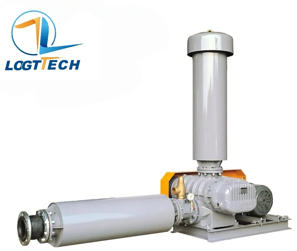 Roots Blower, 30hp, Cast - detail 4
