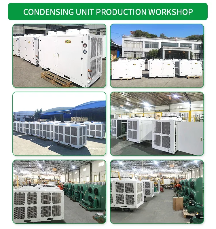 Condensing Unit, Scroll, 220v/60hz - detail 30