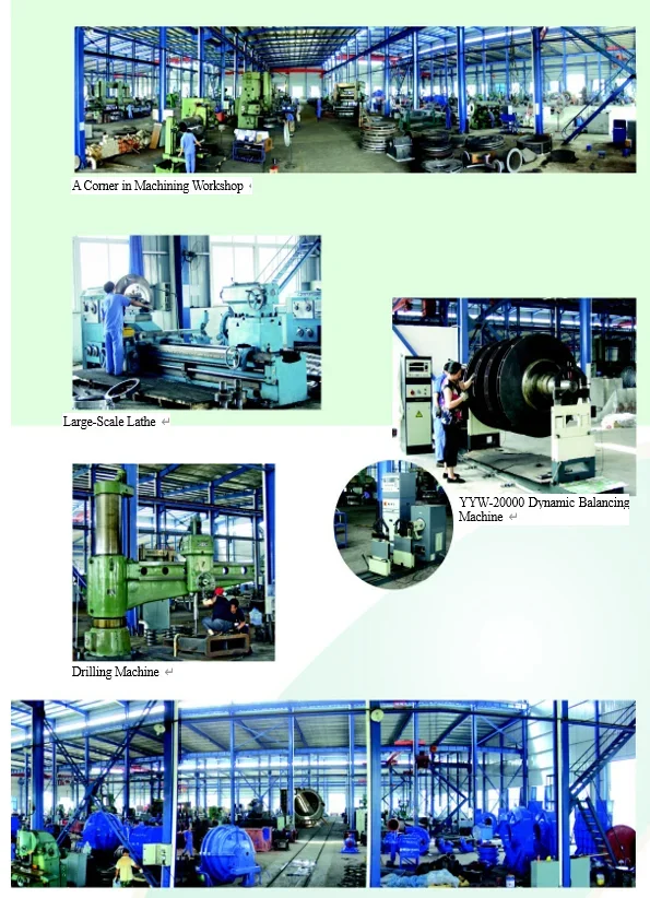 Gas Chemical Fan, D460-1.45/Blower, Electric, Cast Iron - detail 44