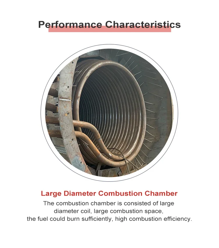 Thermal Oil Heater, 75%, Once Through, 1 Year - detail 10