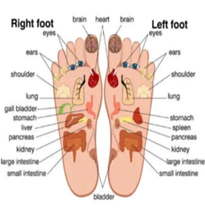 Foot Hand Warmers, AC110V-240V, 36W - detail 14