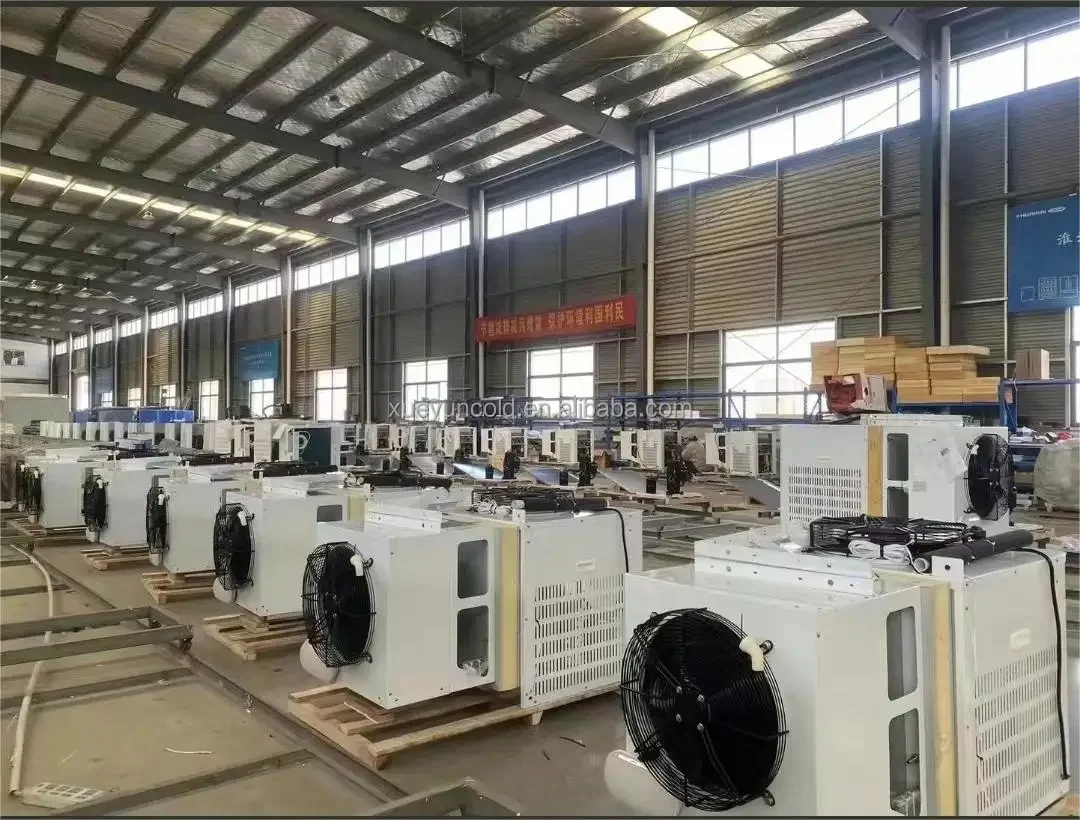 Monoblock Unit, 3HP, 220 V, -25C - detail 4